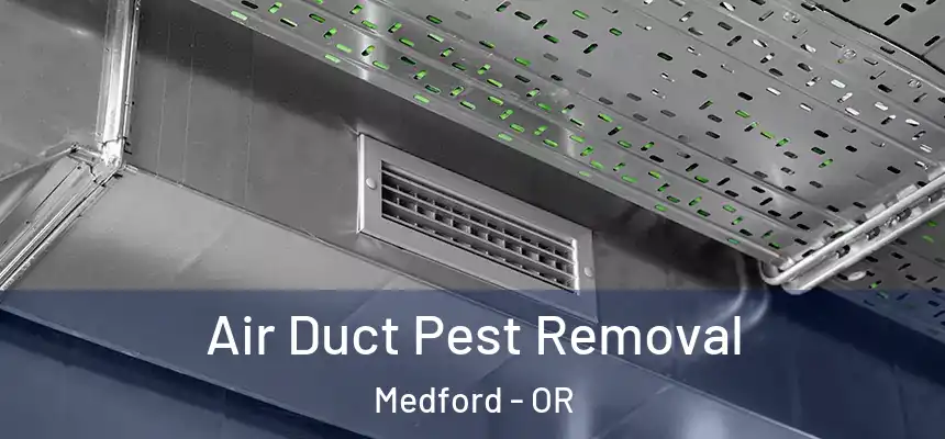 Air Duct Pest Removal Medford - OR