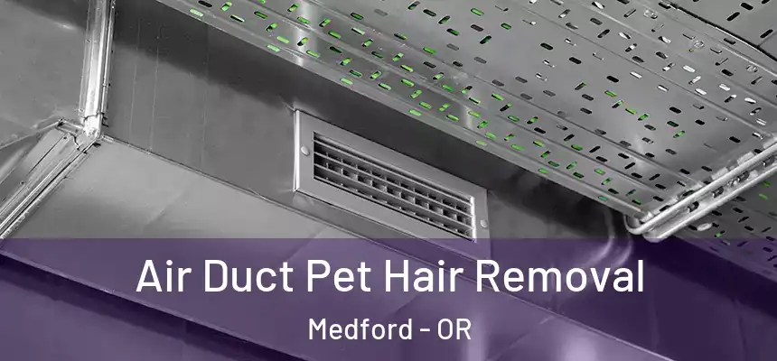 Air Duct Pet Hair Removal Medford - OR