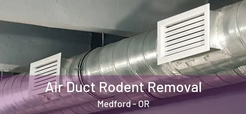 Air Duct Rodent Removal Medford - OR