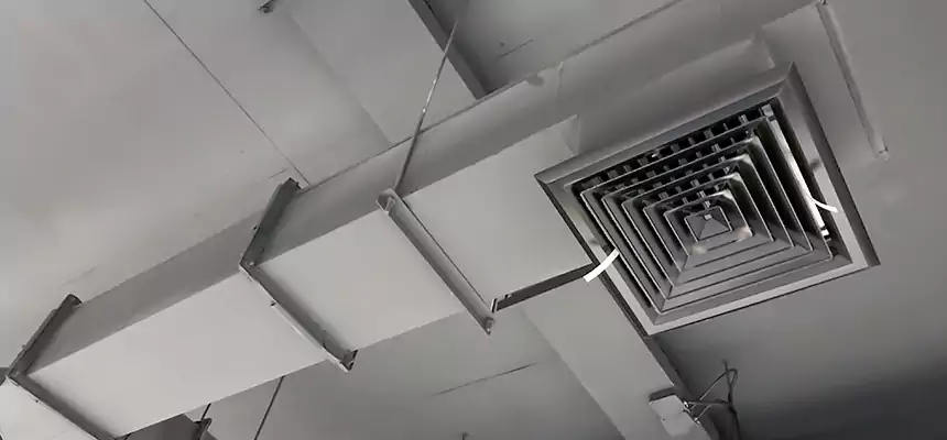 Our Rodent Droppings In Vents Services in Medford, OR