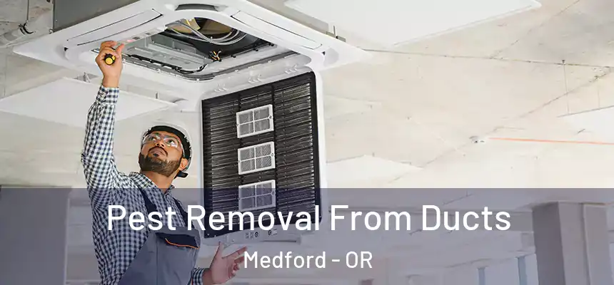 Pest Removal From Ducts Medford - OR