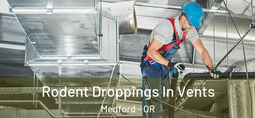 Rodent Droppings In Vents Medford - OR