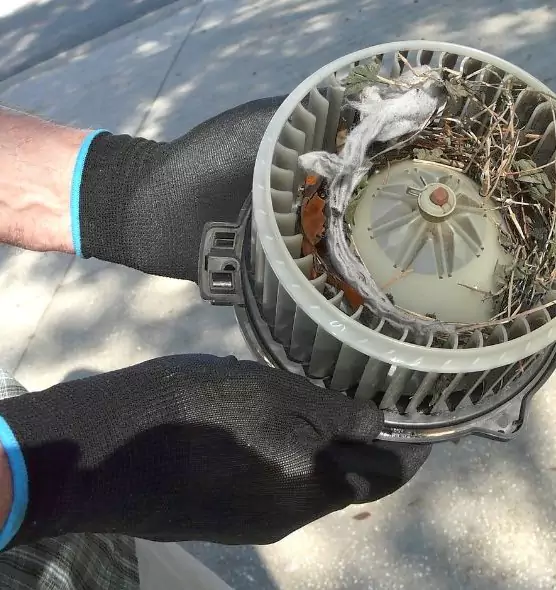 About Air Duct Mice Removal in Medford, OR