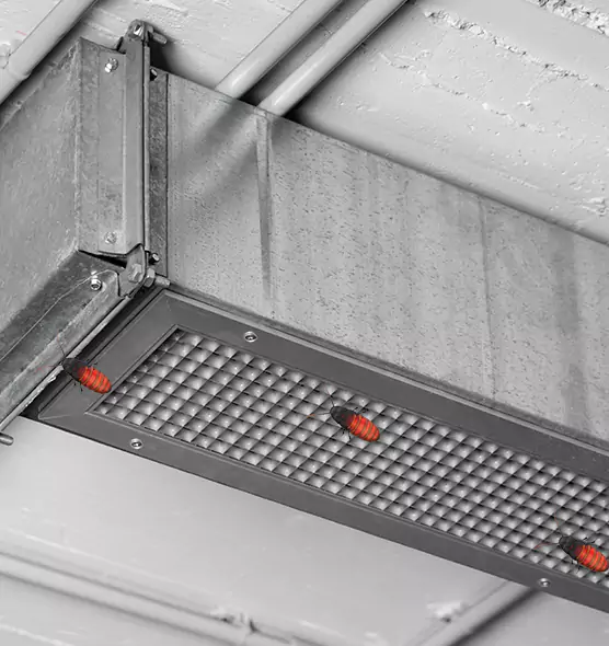 Affordable Insect Removal from Air Ducts in Medford, OR