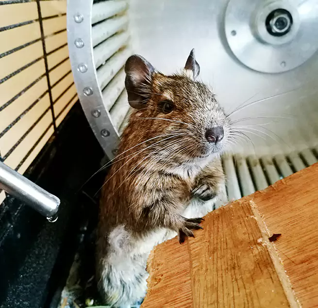 Why Homeowners & Businesses Trust Us Medford, OR?